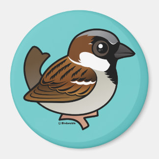 Imán House Sparrow