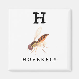Imán Hoverfly