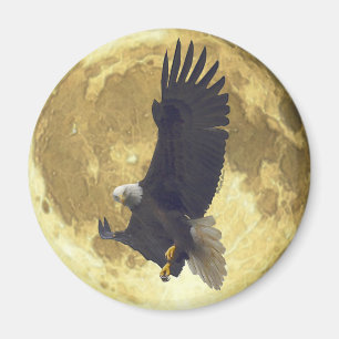 Imán Hovering BALD EAGLE & FULL MOON Wildlife Magnet