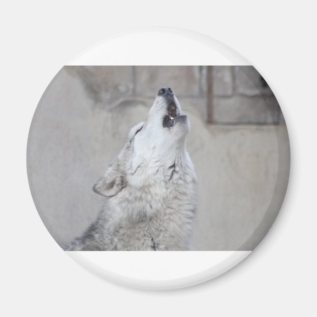 Imán Howling Wolf (Frente)