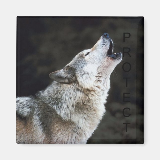 Imán Howling Wolf (Frente)