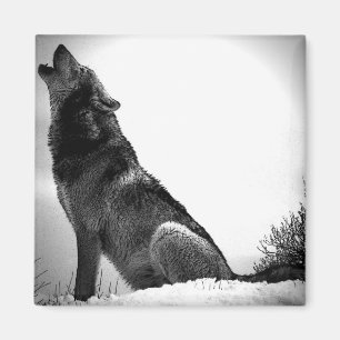 Imán Howling Wolf in Snow