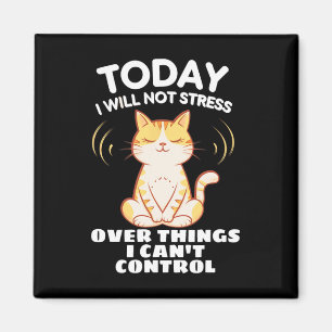Imán Hoy no me estresaré por cosas que no puedo control