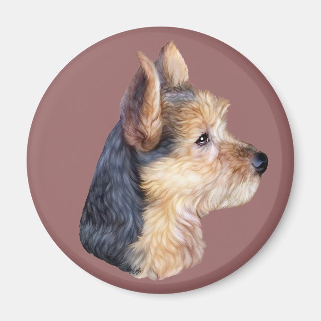 Imán HS de Australia Terrier (Frente)