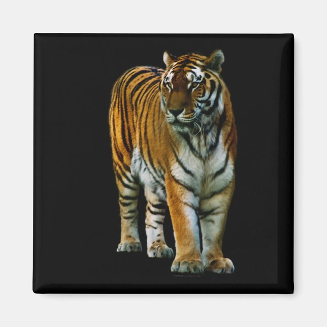 Imán Hu Lin Magnet (Frente)