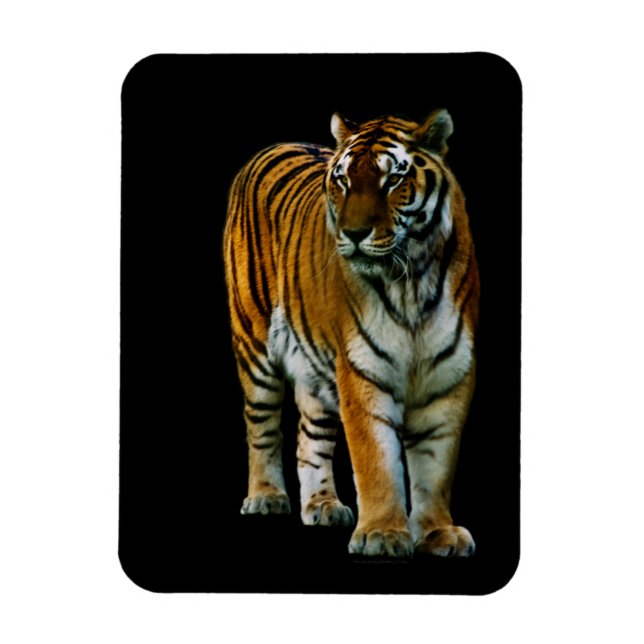 Imán Hu Lin Premium Magnet (Vertical)