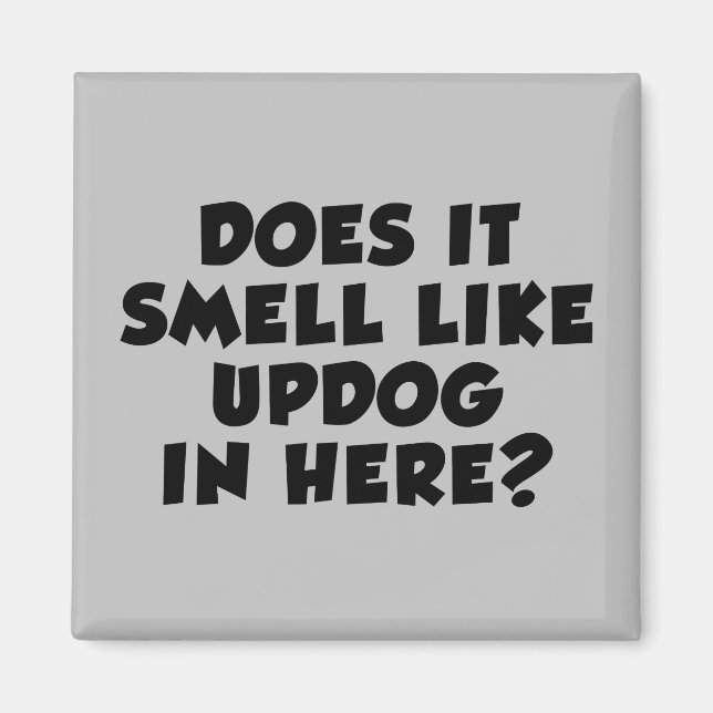 Imán ¿Huele Como Updog In Here Chiste? (Frente)
