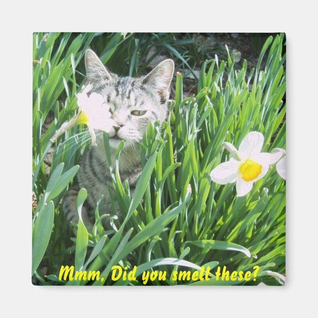 Imán ¿Hueles esto? (Frente)