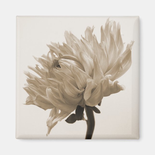 Imán huella dahlia sepia (Frente)