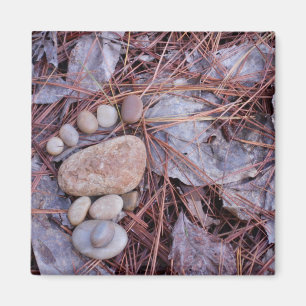 Imán Huella de la roca