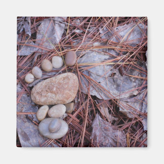 Imán Huella de roca