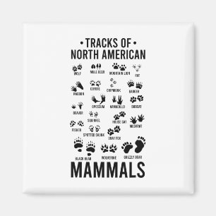 Imán Huellas De Vida Silvestre De Mamíferos Norteameric