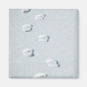Imán Huellas en nieve