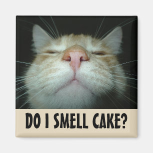 IMÁN ¿HUELO A CAKE? FUNNY NARANJA CAT MAGNETS