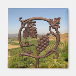 imán - huerto de campo del vino