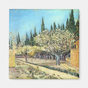 Imán Huerto de Van Gogh en flor, bordeado de cipreses