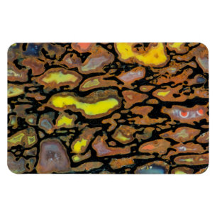 Imán Hueso de Dinosaurio de Colores Múltiples