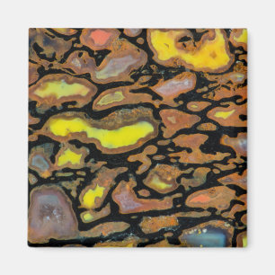 Imán Hueso de Dinosaurio de Colores Múltiples