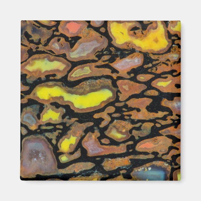 Imán Hueso de dinosaurio multicolor (Frente)