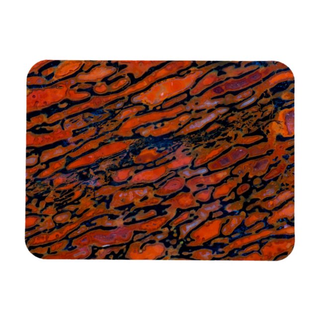 Imán Hueso de dinosaurio petrificado rojo (Horizontal)