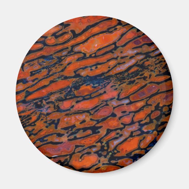Imán Hueso de dinosaurio petrificado rojo (Frente)