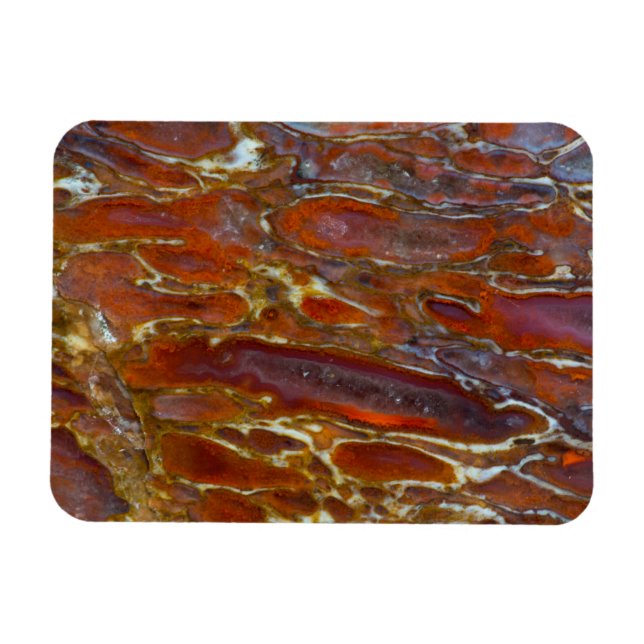 Imán Hueso petrificado de dinosaurio (Horizontal)