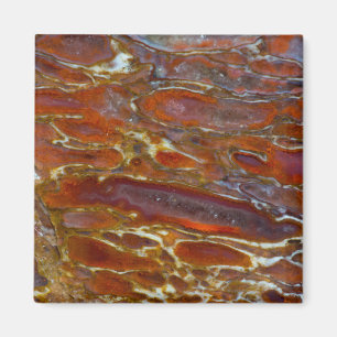 Imán Hueso Petrificado de Dinosaurio