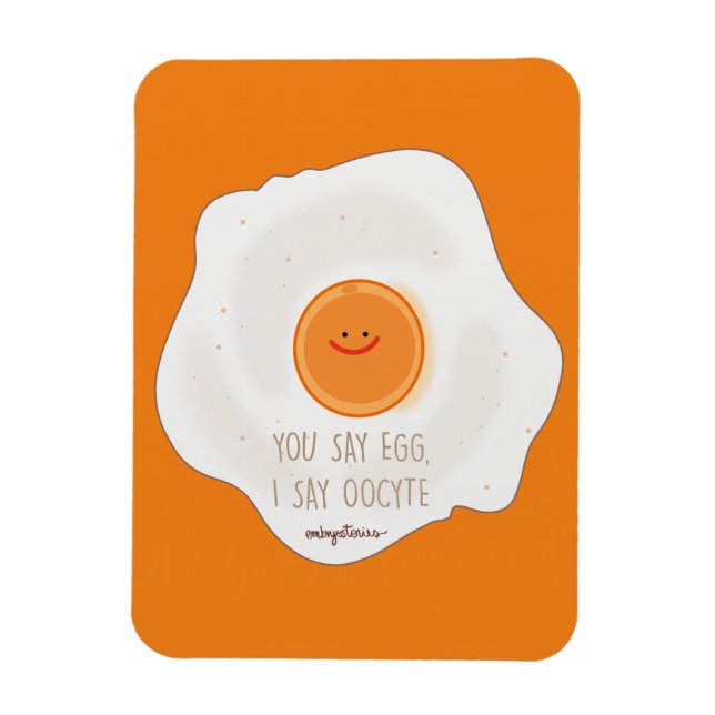 Imán Huevo oocito (Vertical)