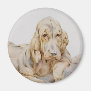 Imán Huevos blancos, perros cachorros de EJ Detmold