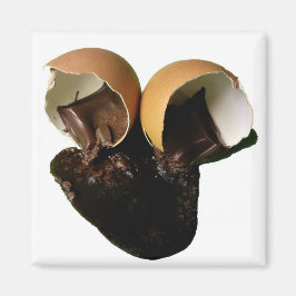 Imán Huevos de chocolate de novedad