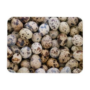 Imán Huevos de Codorniz, Huaraz, Cordillera Blanca, Anc