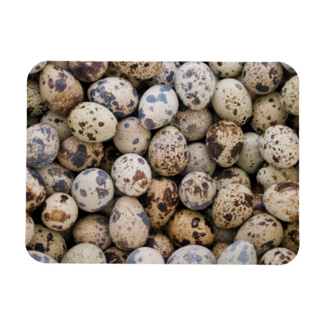 Imán Huevos de Codorniz, Huaraz, Cordillera Blanca, Anc (Horizontal)
