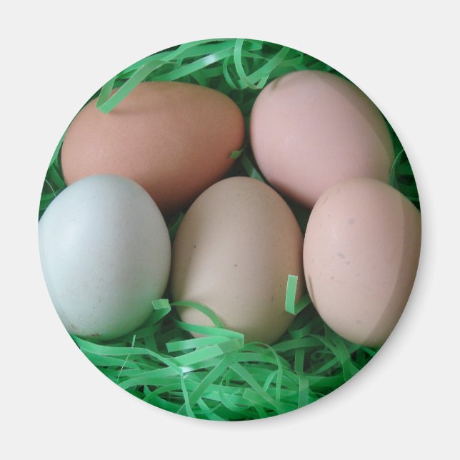 Imán Huevos de pollo (Frente)
