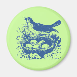 Imán Huevos y nidos de aves de la época