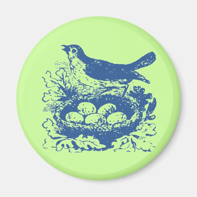 Imán Huevos y nidos de aves de la época (Frente)