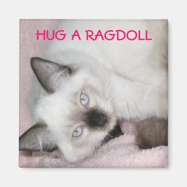 IMÁN HUG A RAGDOLL (Frente)