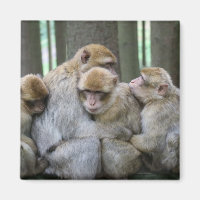 Hug Photography de grupo de familias de cute simie