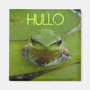 IMÁN HULLO