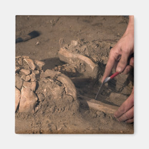 Imán Humano permanece