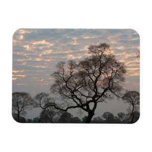 Imán Humedales del Pantanal   América del Sur, Brasil