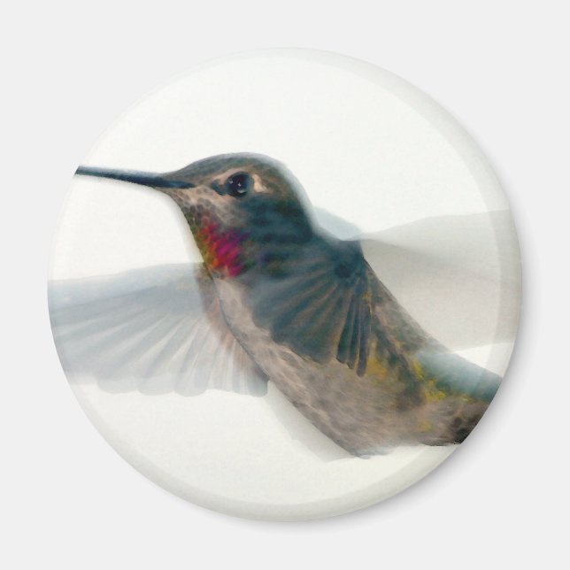 Imán Hummingbird (Frente)