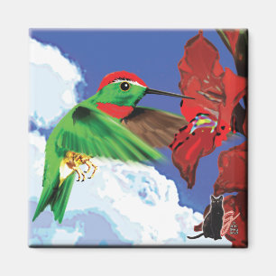 Imán Hummingbird