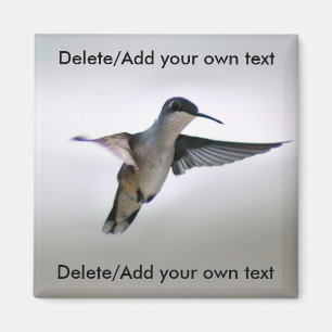 Imán Hummingbird