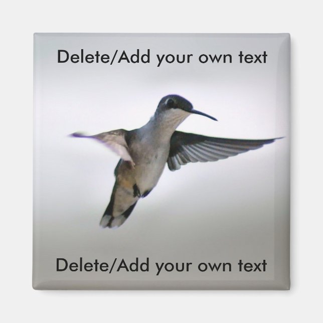 Imán Hummingbird (Frente)