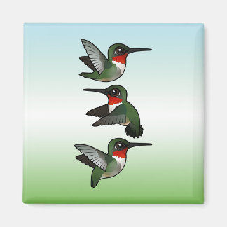 Imán Hummingbird