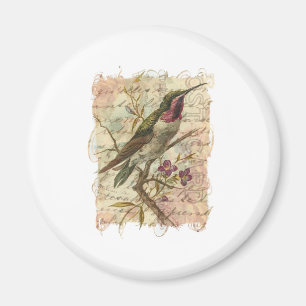 Imán Hummingbird