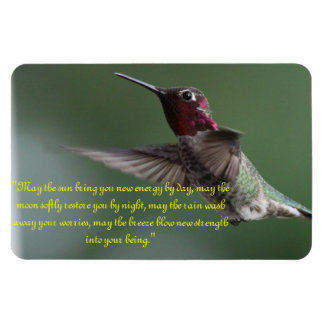 Imán Hummingbird con Apache diciendo