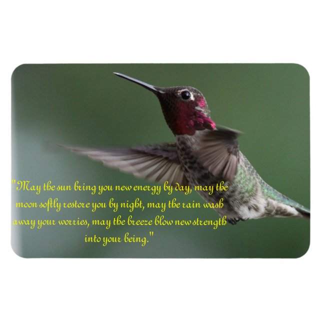 Imán Hummingbird con Apache diciendo (Horizontal)