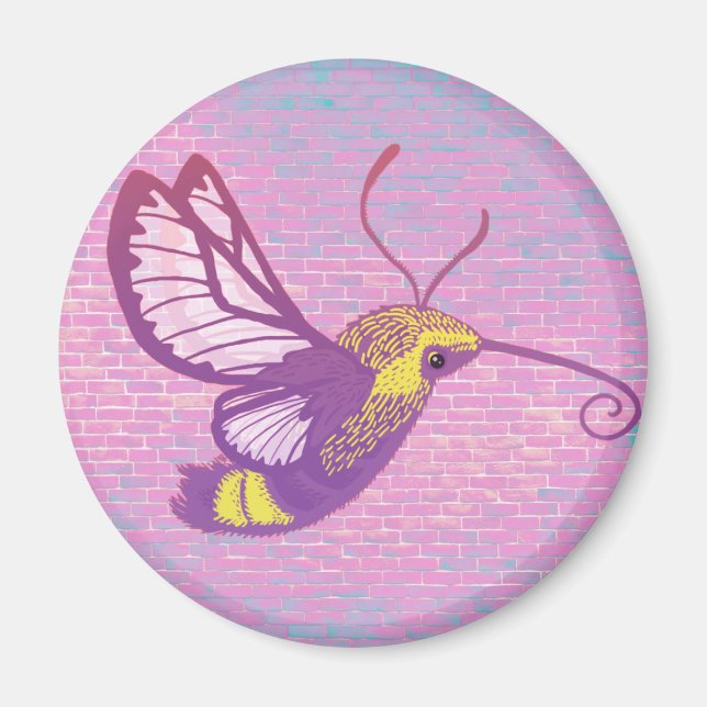 Imán Hummingbird Hawk Moth (Frente)