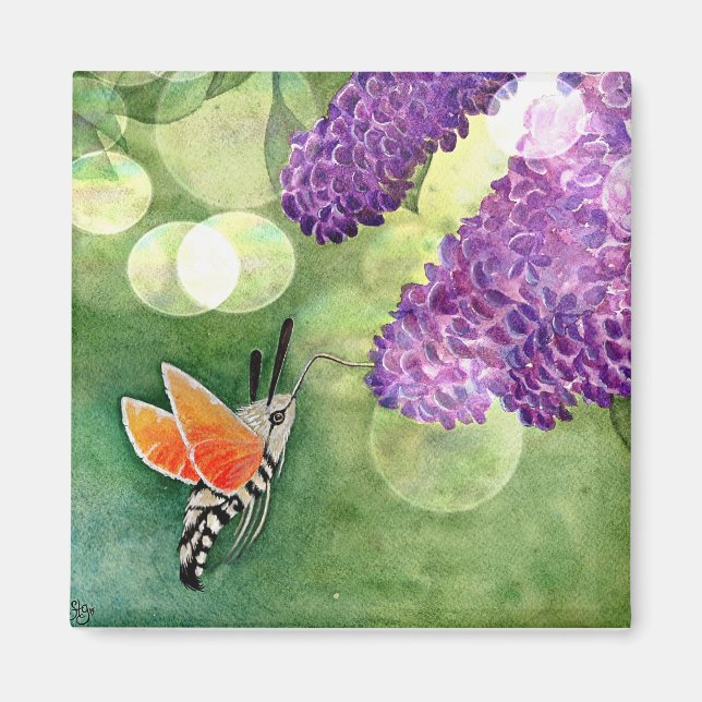 Imán Hummingbird Hawk Moth and Lilacs (Frente)